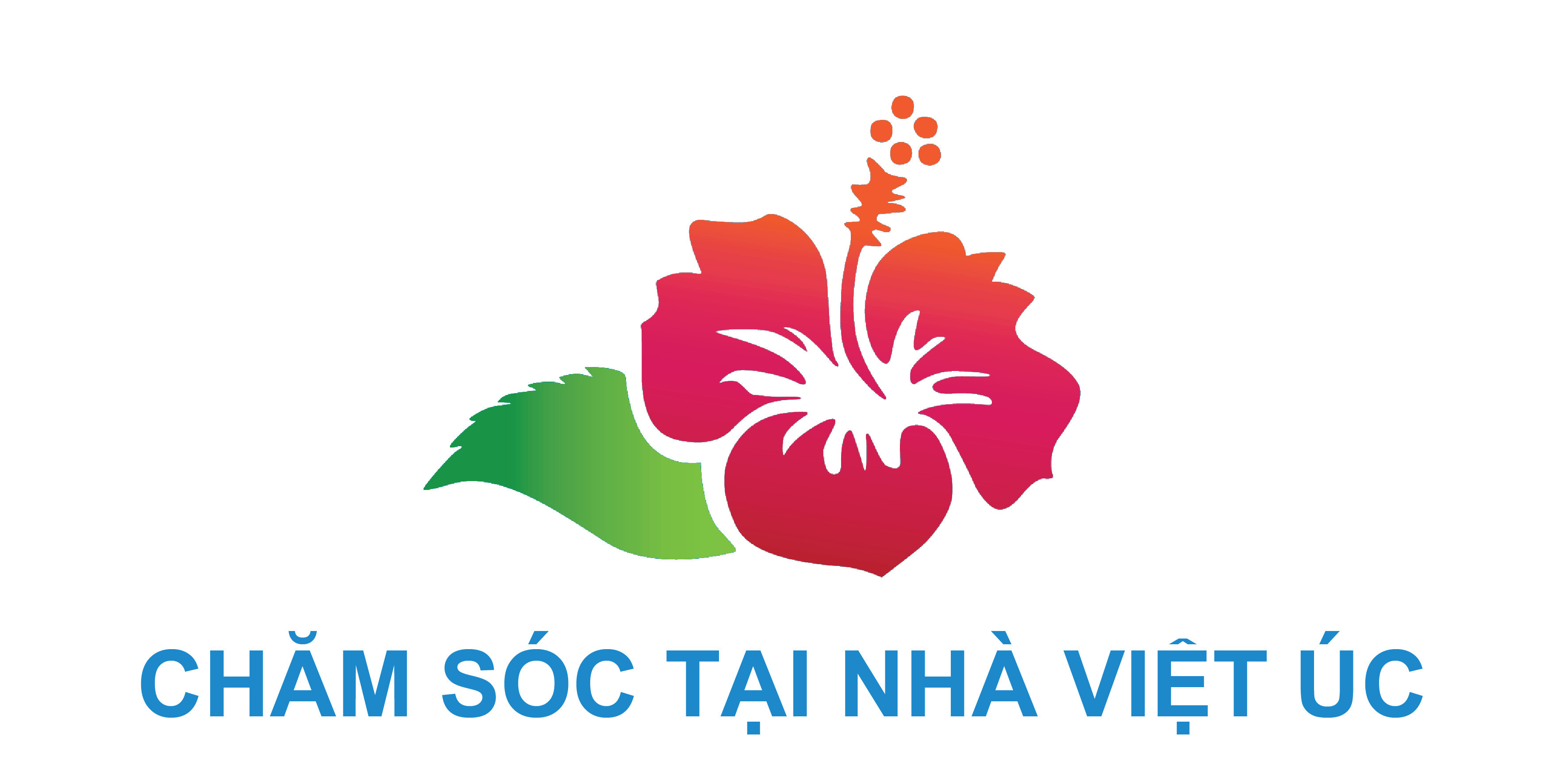 Điều Dưỡng Viên Đã Có Chứng Chỉ Hành Nghề